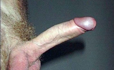 xpics dick - dickworship 01