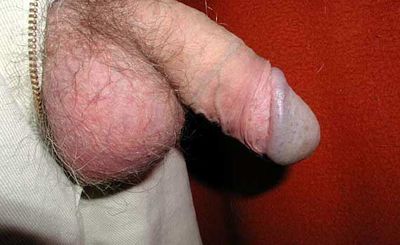 xpics suit - businessdick 01